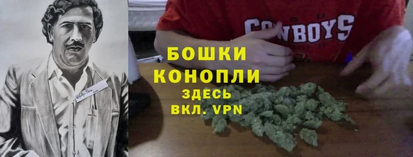 ГАЛЛЮЦИНОГЕННЫЕ ГРИБЫ Балахна