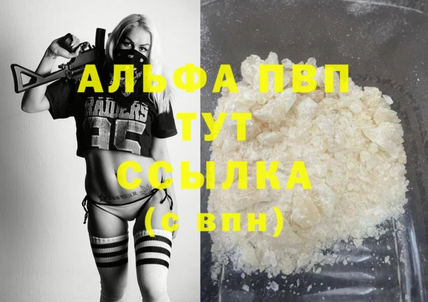 прущий лед Богданович