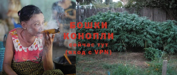 прущий лед Богданович