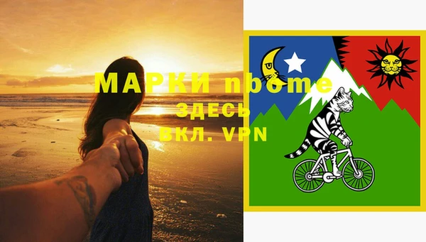 прущий лед Богданович