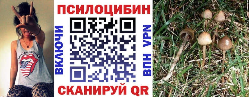 закладки  гидра ТОР  Галлюциногенные грибы мицелий  Бежецк 